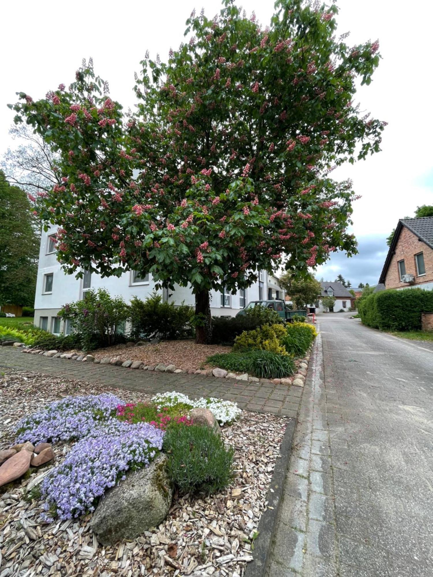 Hotel Luther Birke Wittenberg Kültér fotó