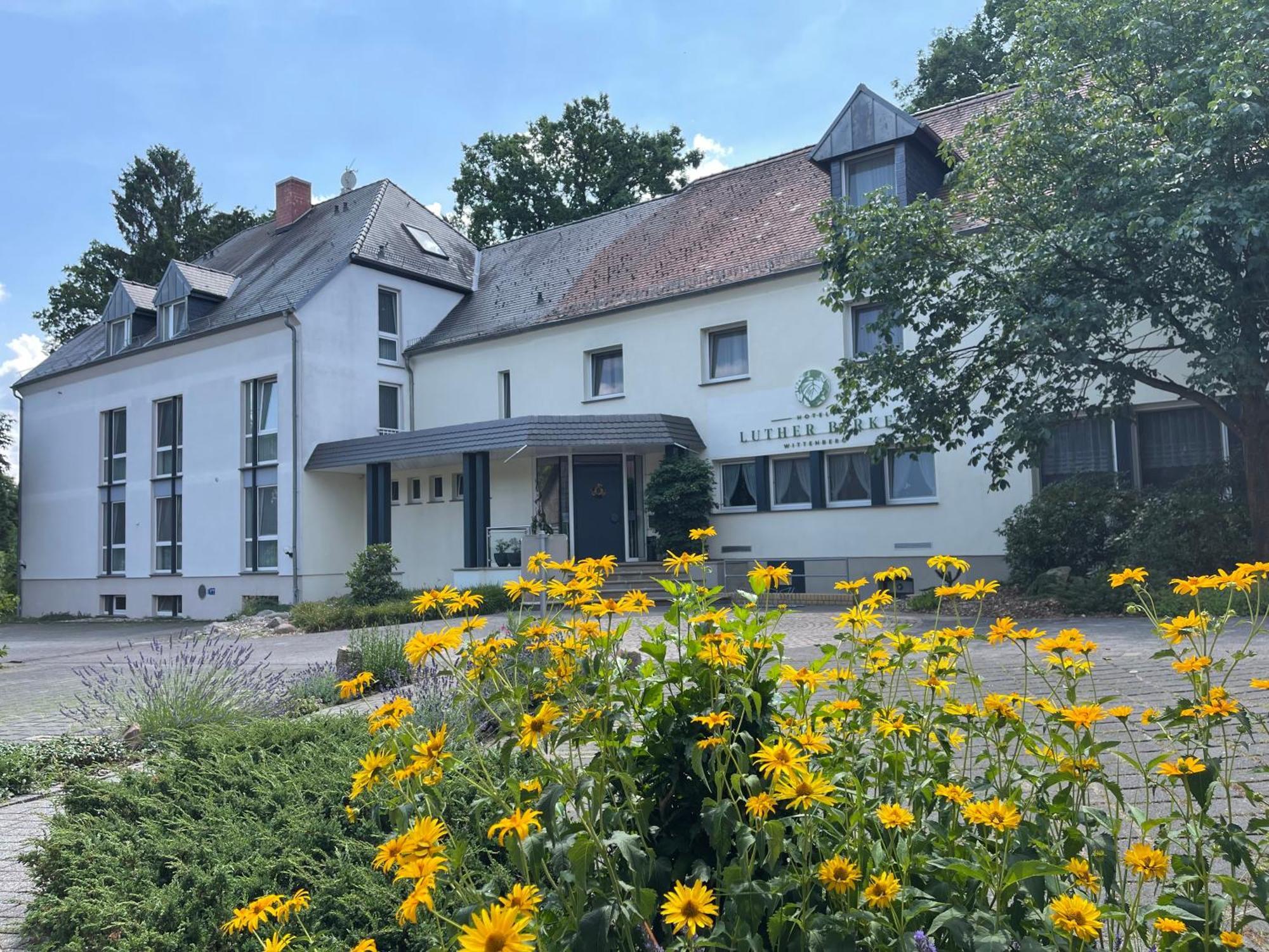 Hotel Luther Birke Wittenberg Kültér fotó